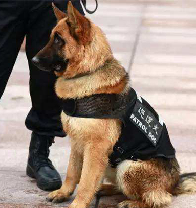 蜜桃AV一区二区高潮久久精品 蜜桃AV一区二区高潮久久精品